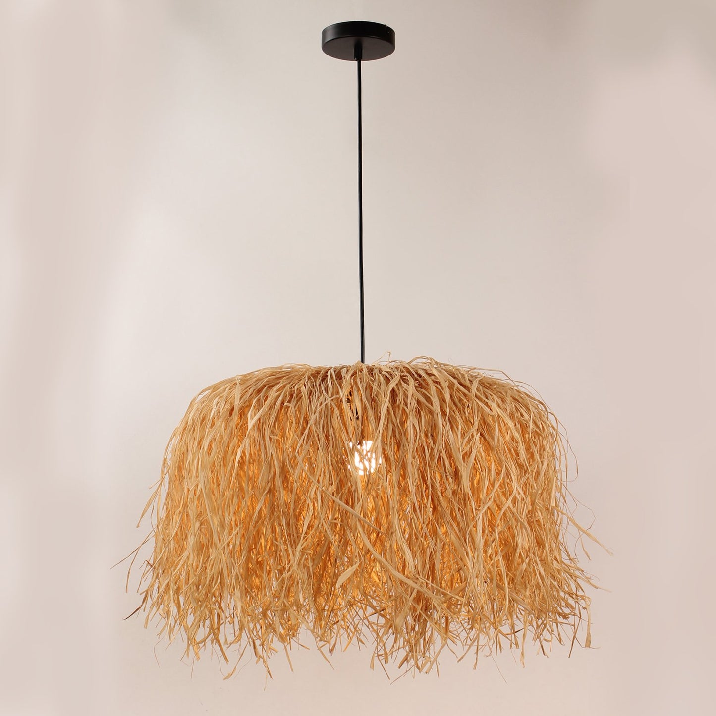 Pendant light Martini ML-2203-1