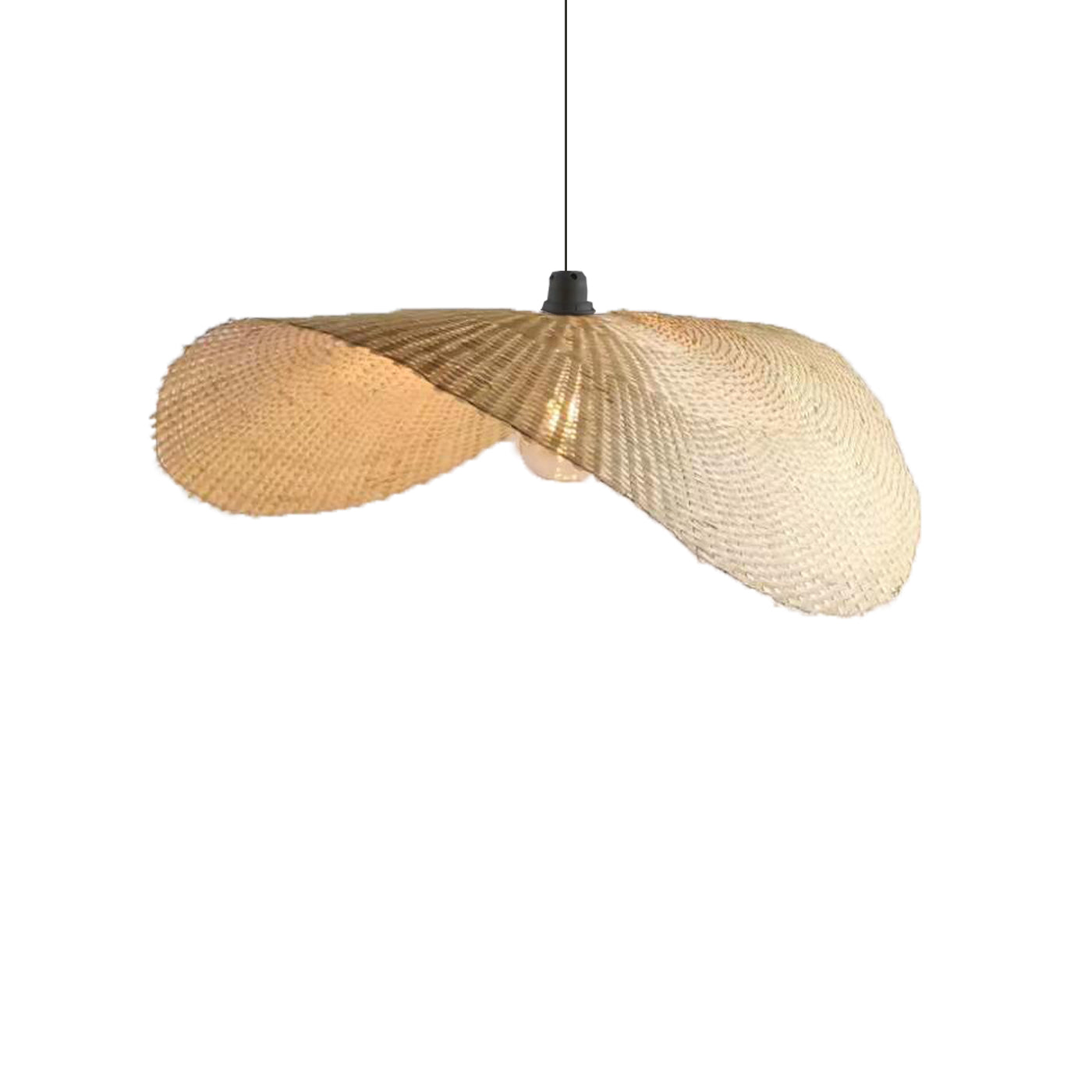 Pendant light Avian ML-2201-1P