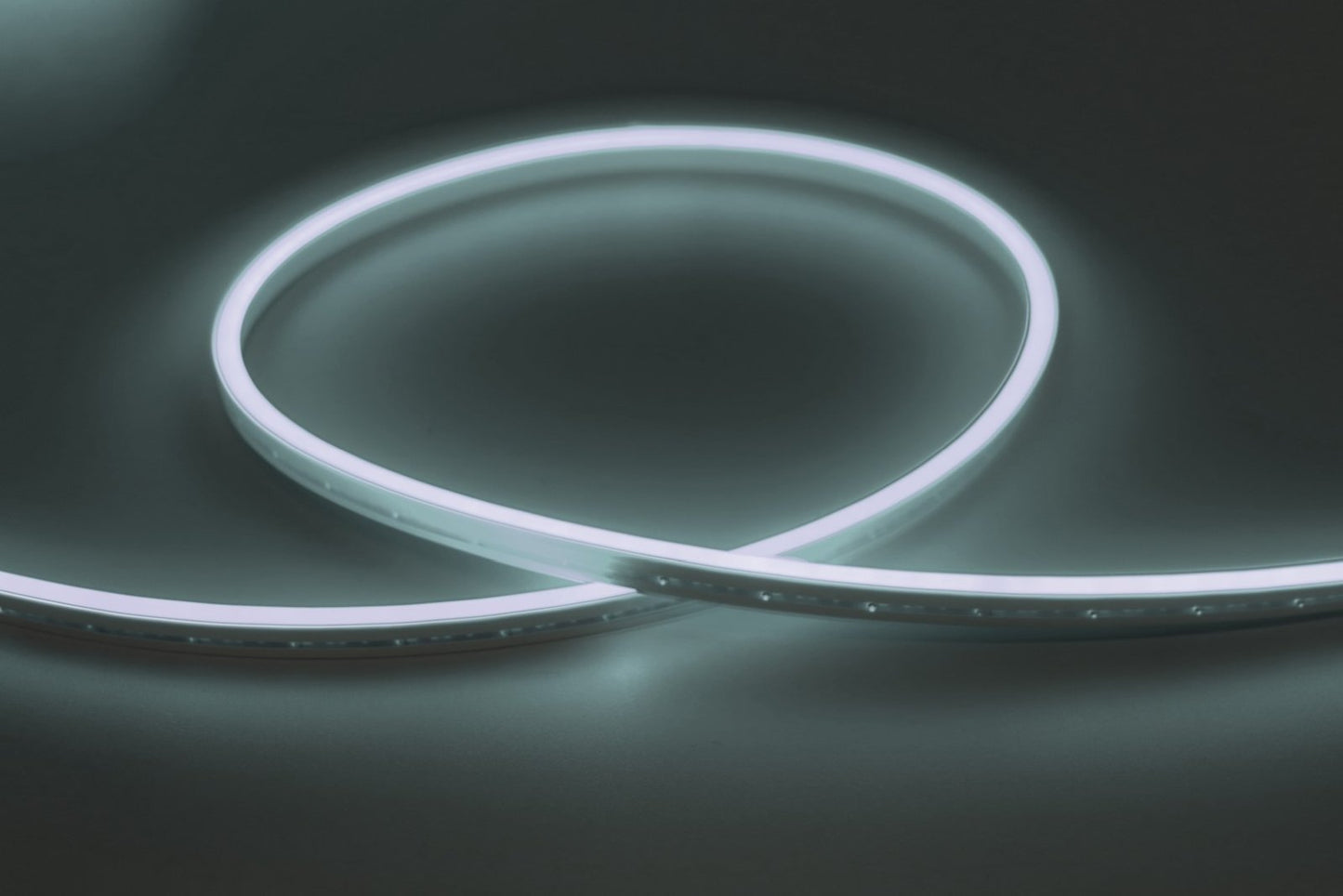 Neon Flex E-light 2835 7W IP67 6500K