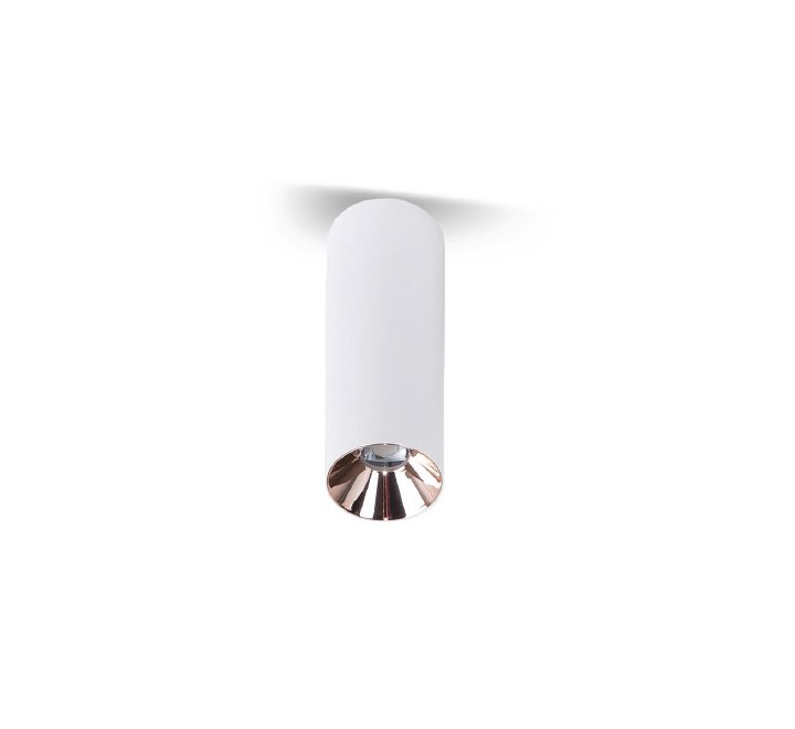 LED downlight Caesar 20W white