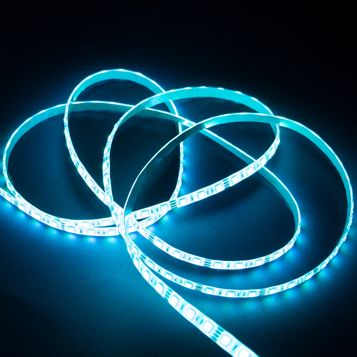 LED Strip E-light 5050-60 RGB IP20