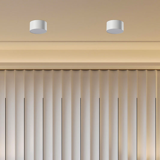 Plafonjera LED Kessler ML-D001-10W Bijela
