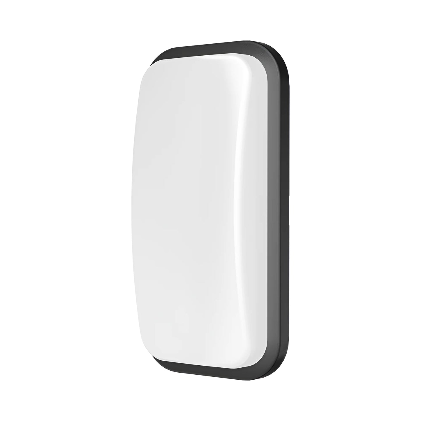 Braytron B Elipsa Crna 15W 4000K Ip65 Zidna Vrtna Svjetiljka