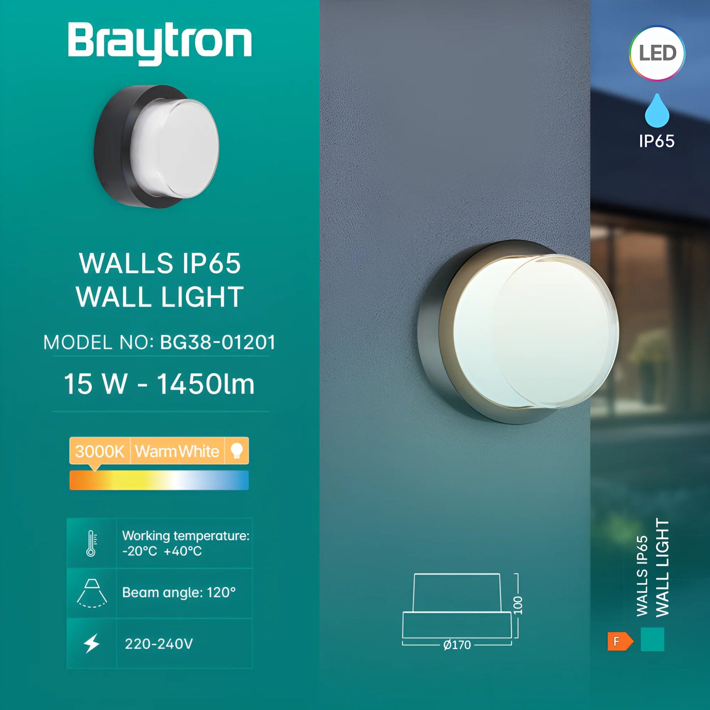 Braytron G2 Okrugla Crna 15W 3000K Ip65 Zidna Vrtna Svjetiljka
