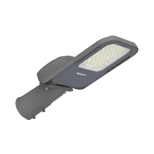 Braytron St95 39W Siva 4000K Ip66 Ulicna Svjetiljka