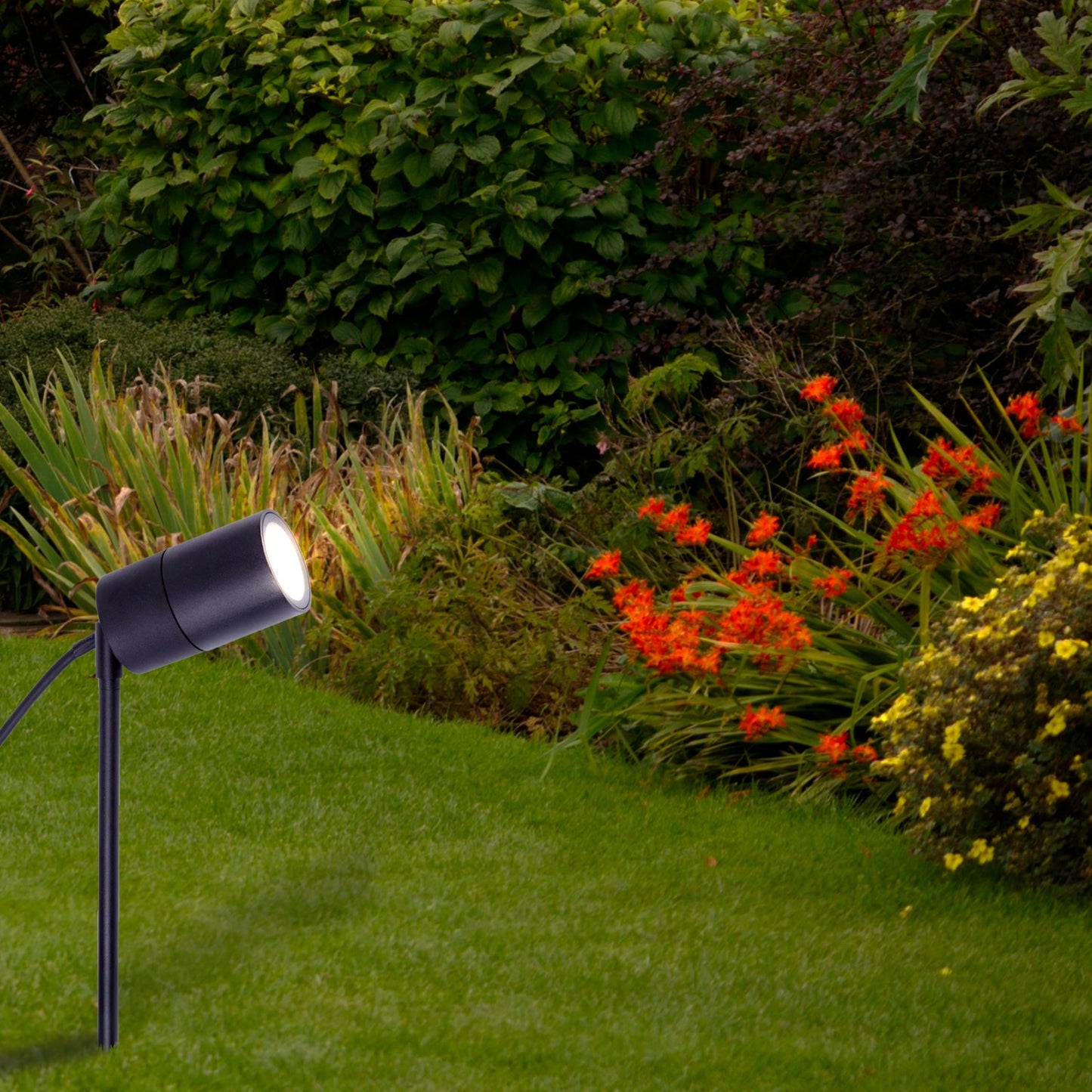 Stubna lampa E-light Norton ML-4035-1G